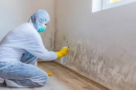 Best Attic Mold Removal  in Blplay, AL